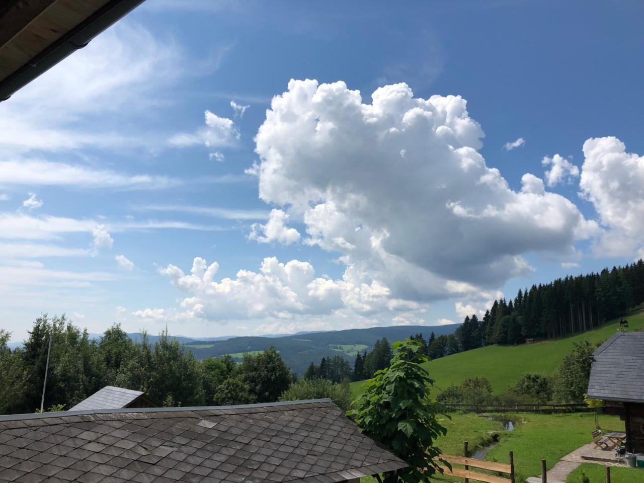 Waldheimathuette Villa Sankt Kathrein am Hauenstein Exteriör bild