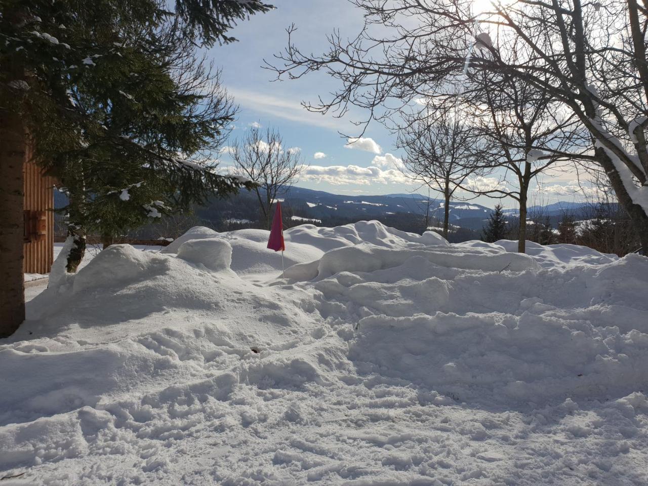 Waldheimathuette Villa Sankt Kathrein am Hauenstein Exteriör bild