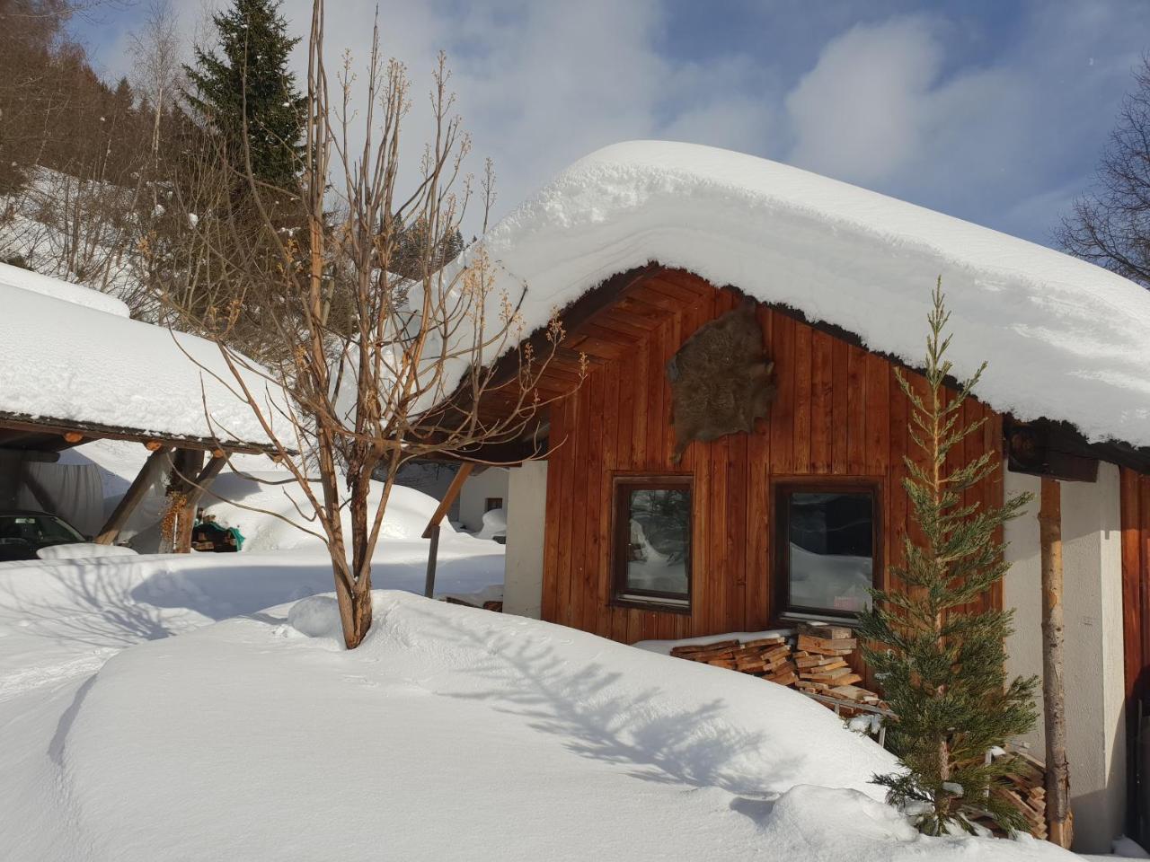 Waldheimathuette Villa Sankt Kathrein am Hauenstein Exteriör bild