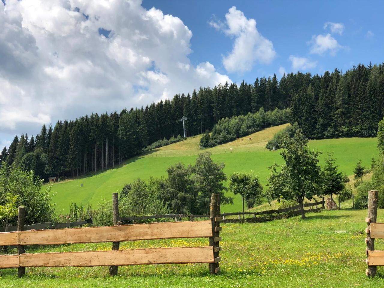 Waldheimathuette Villa Sankt Kathrein am Hauenstein Exteriör bild